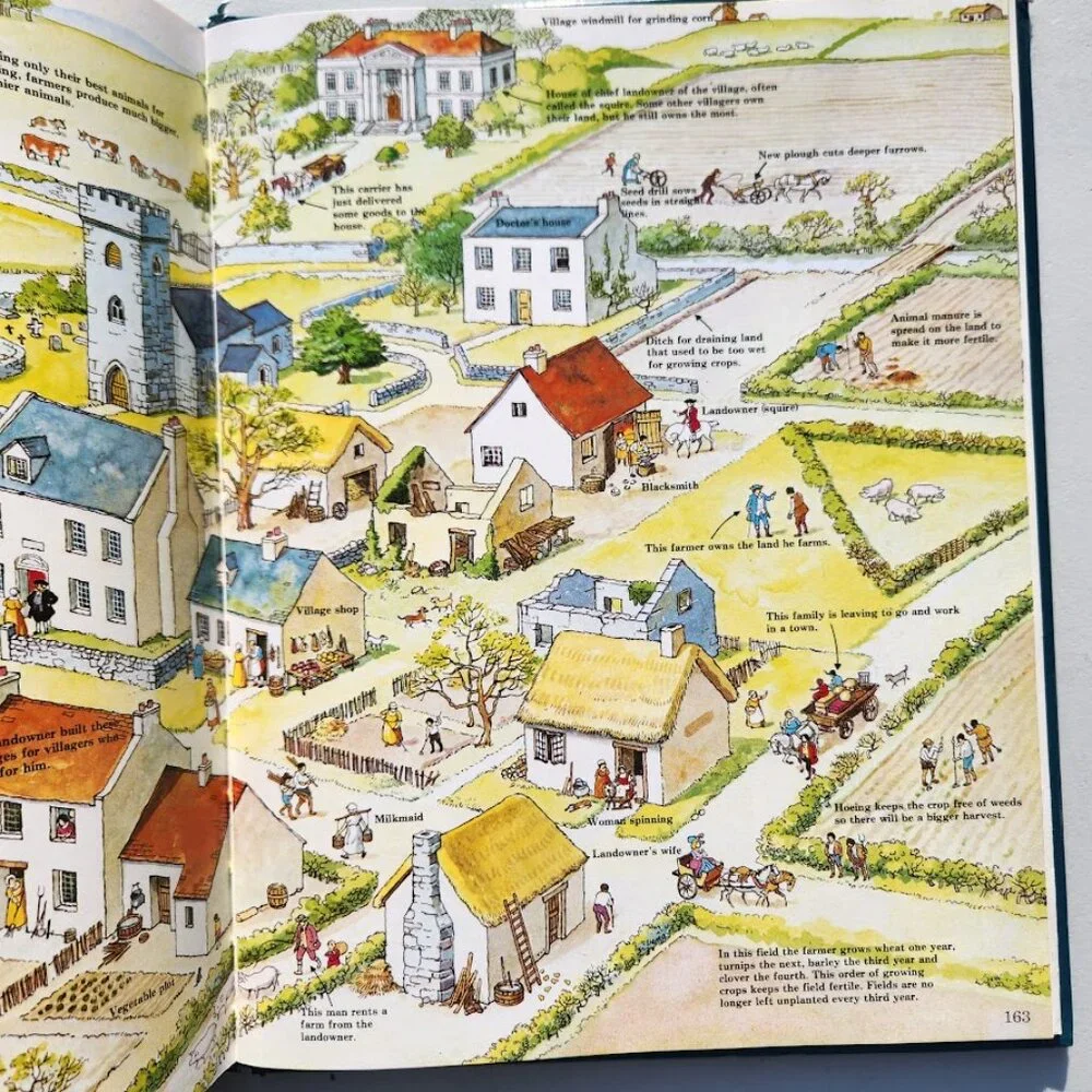 The Usborne Book of World History Hardcover Book Textbook Homeschooling Curricul
